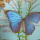 Vintage frame butterflies and silk threads - artefama - annees 50