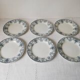 Plate