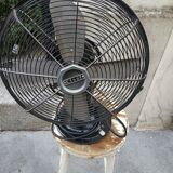 Cinni fan