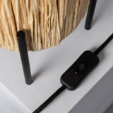 Haban lamp