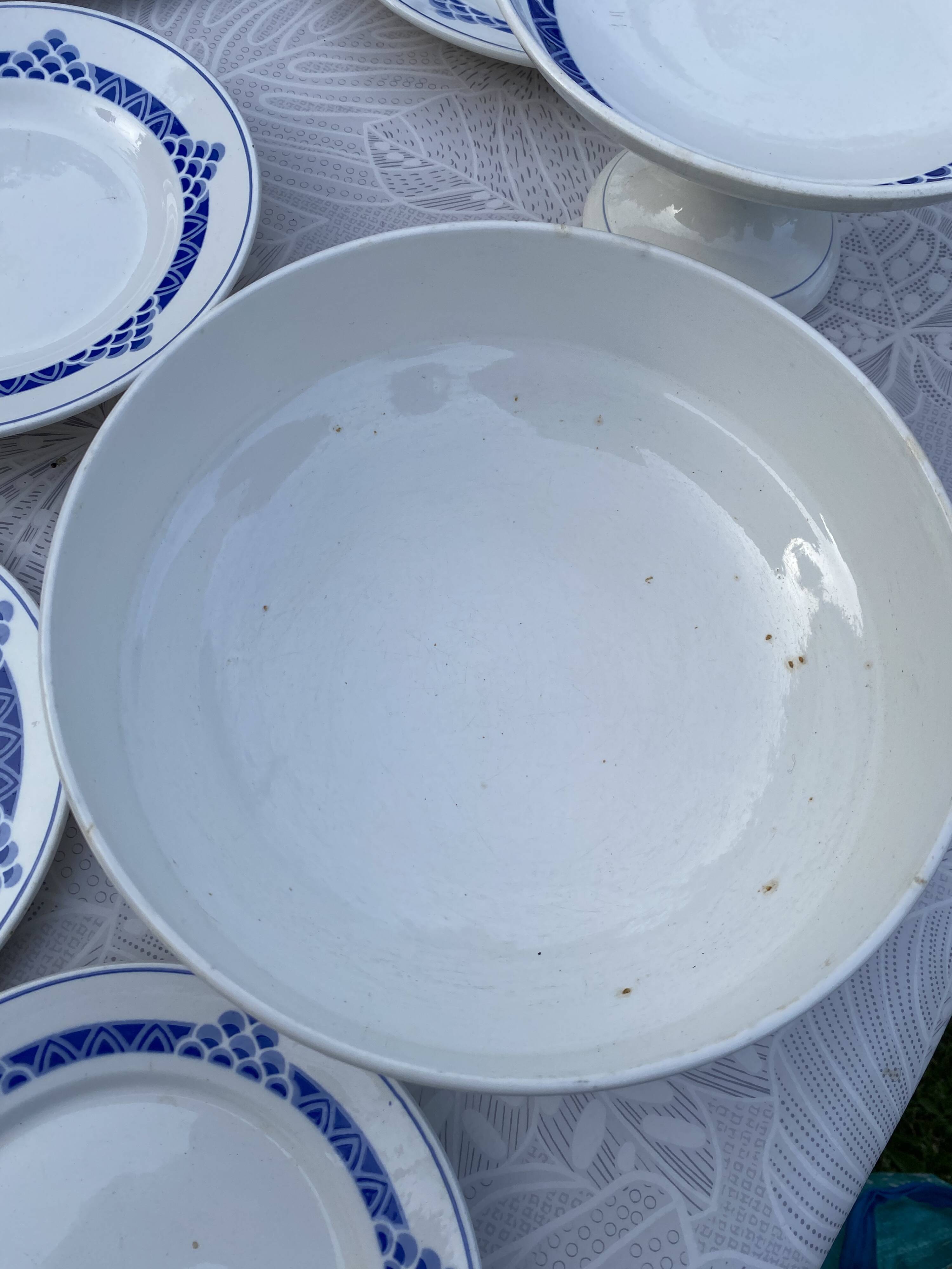 Magnifique Service de Table Vintage – Modèle "Ariège" (Digoin Sarregue