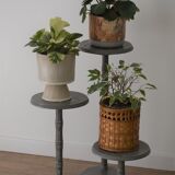 Revamped plant holder