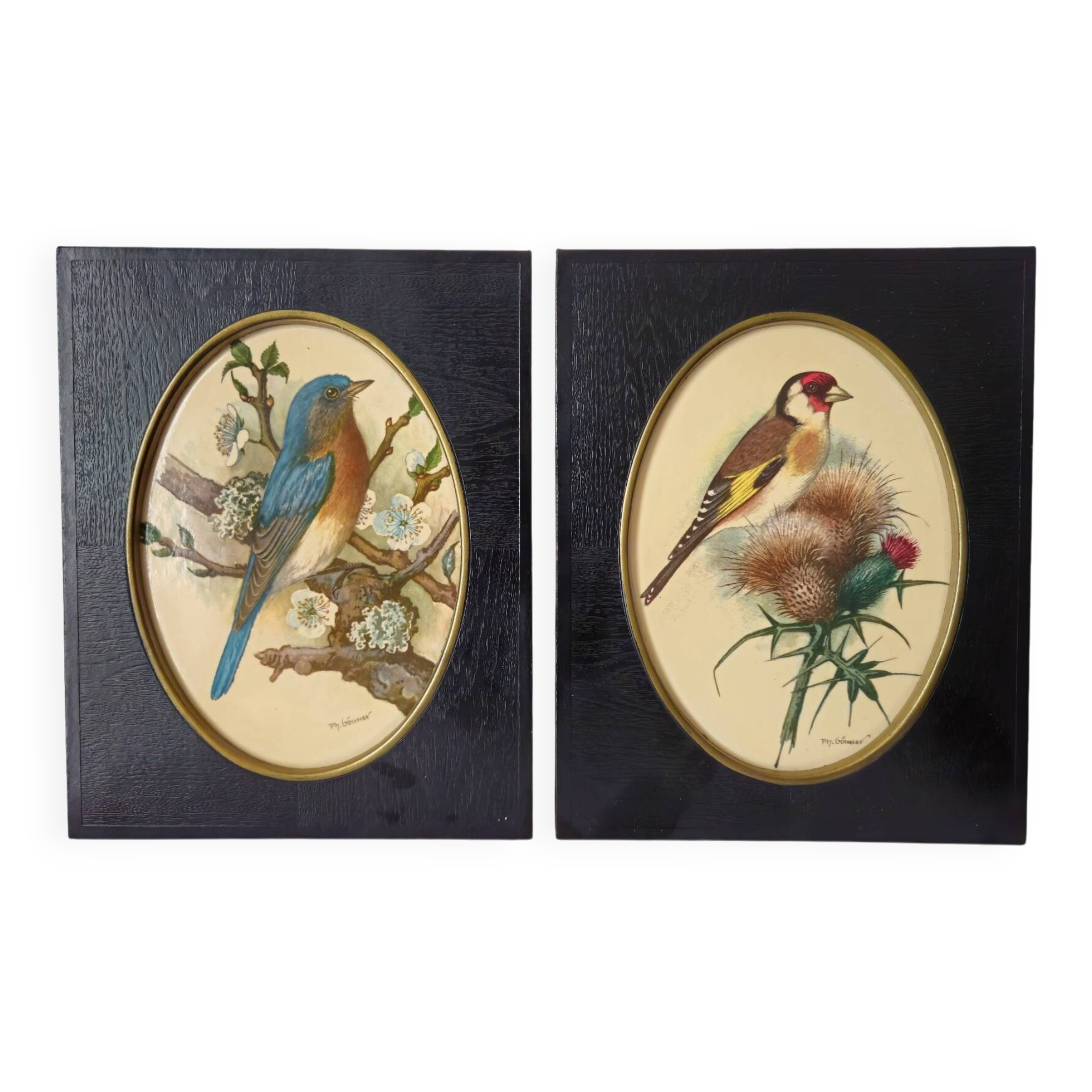 Paire de gravures encadrées oiseaux vintage