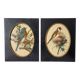Paire de gravures encadrées oiseaux vintage