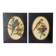 Paire de gravures encadrées oiseaux vintage