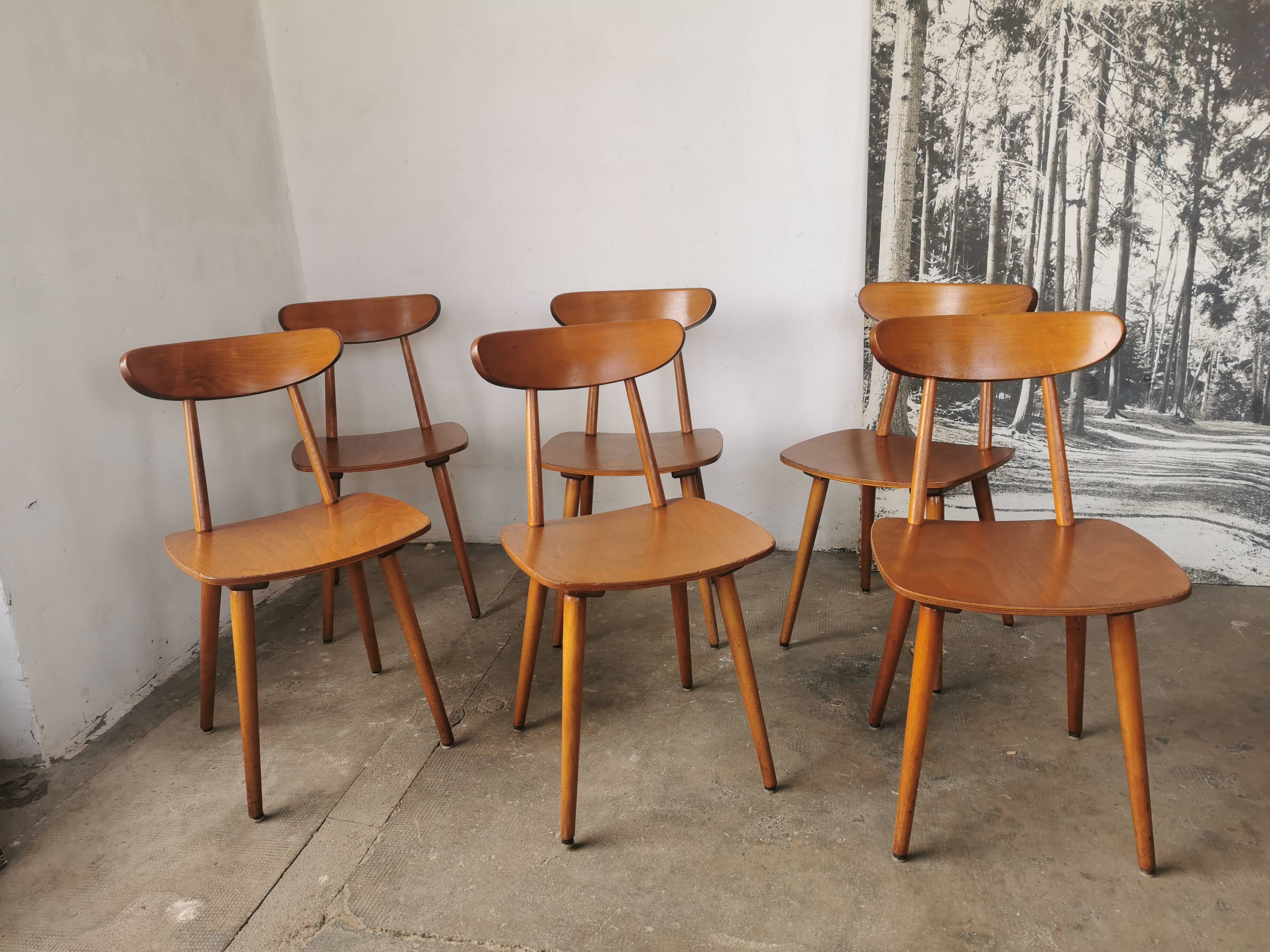 Set of 6 Hiller chairs, vintage bistro