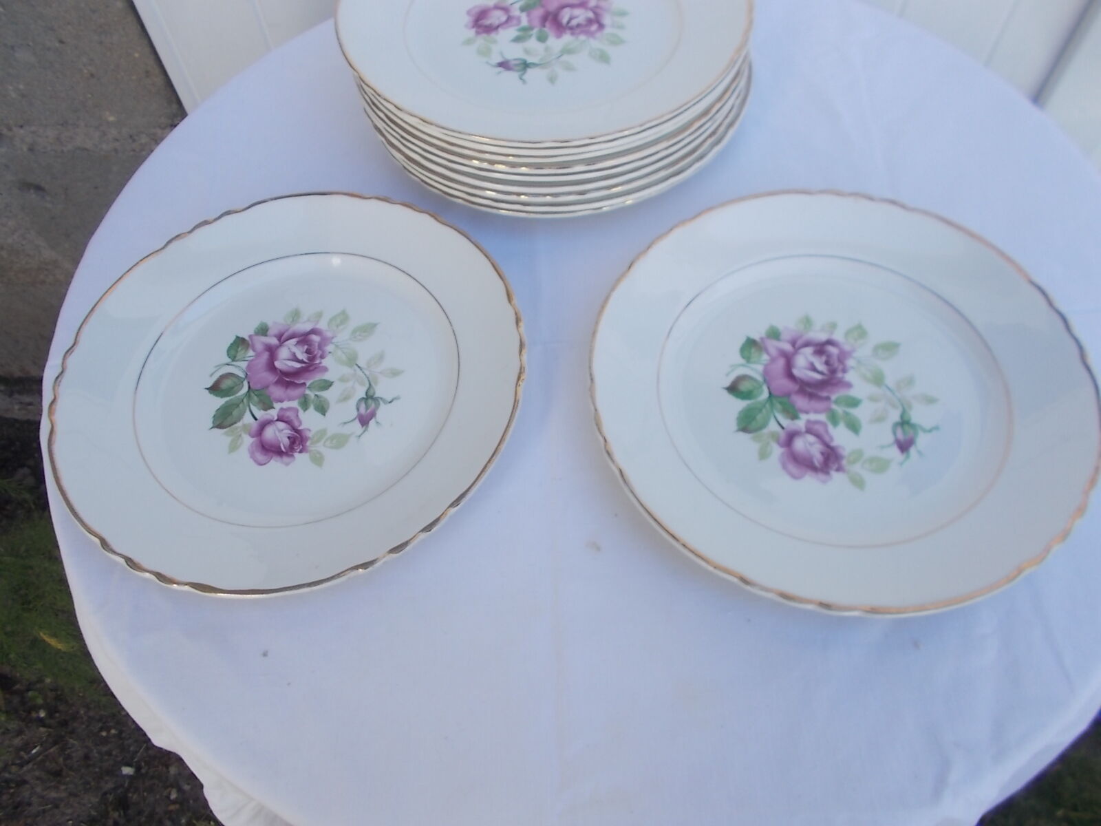 Lot 11 flat plates moulin des loups
