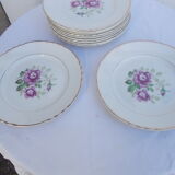 Lot 11 flat plates moulin des loups