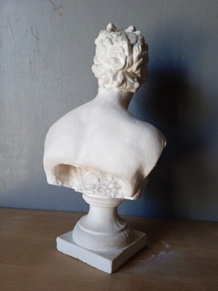 Large flat bust of Venus