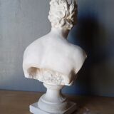 Large flat bust of Venus