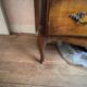 Louis XVI crossbow chest of drawers
