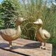Paire de canards en laiton