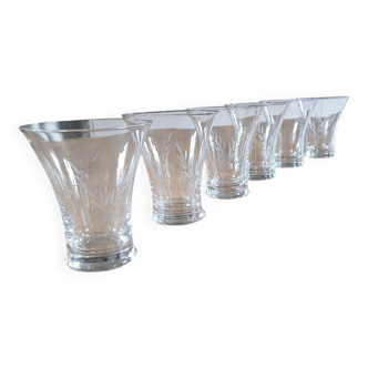 6 antique engraved glass water glasses