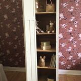 Small antique Parisian wardrobe