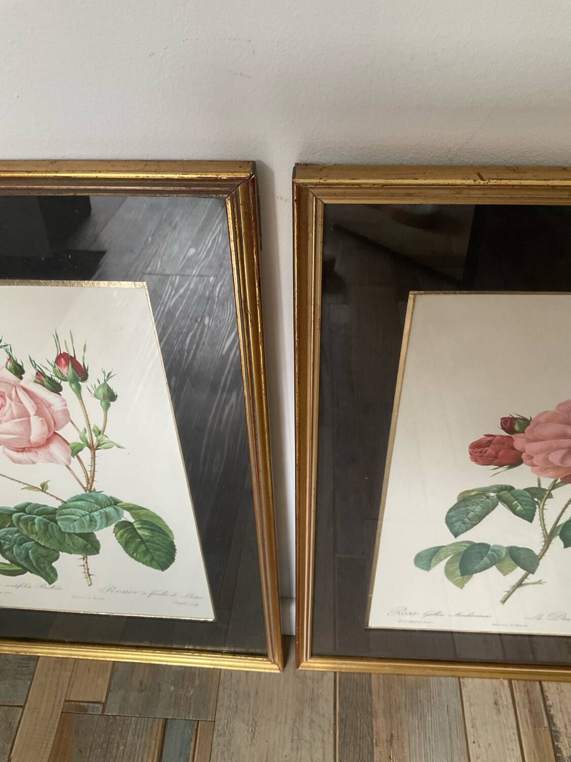 Pair of gilded wooden botanical frames from the 70s