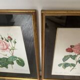 Pair of gilded wooden botanical frames from the 70s