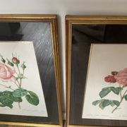 Pair of gilded wooden botanical frames from the 70s