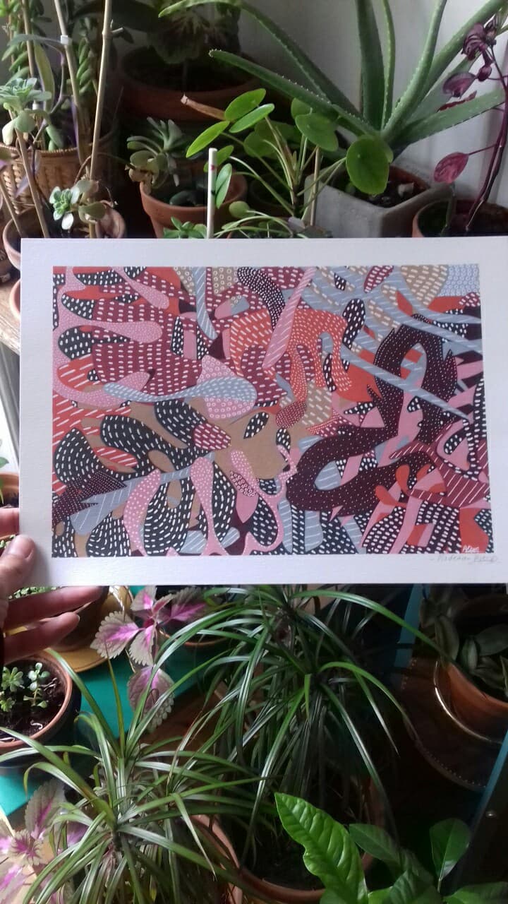 Illustration flowers Madeira