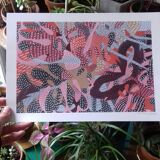 Illustration flowers Madeira