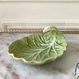 Cup delight slurry cabbage