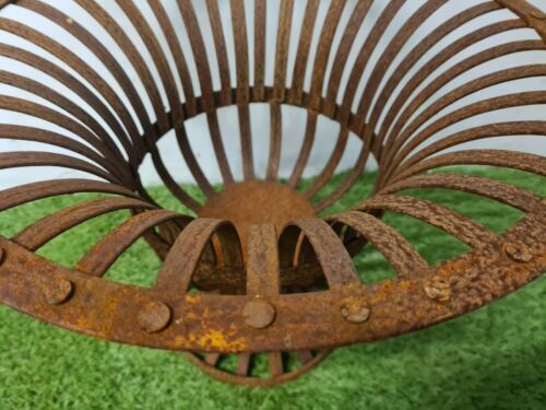 Medici in riveted iron