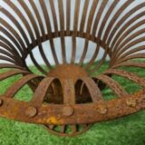 Medici in riveted iron