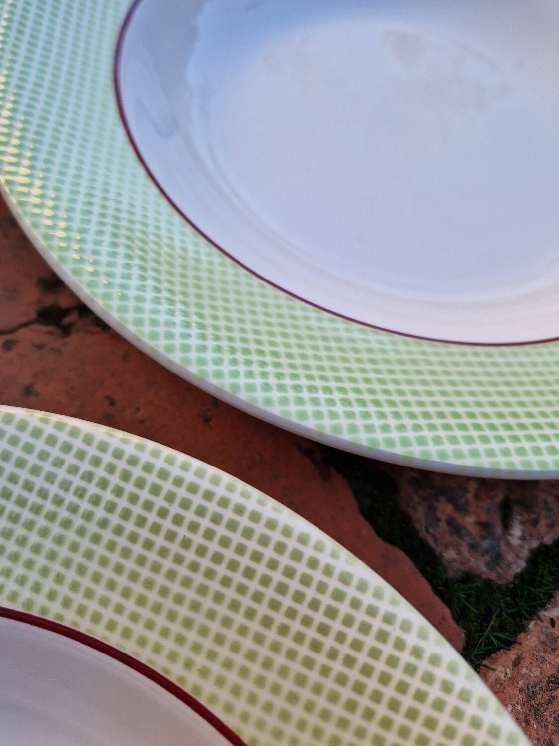 Set of 11 Isoard Pattern Soup Plates, Salins Manufacture