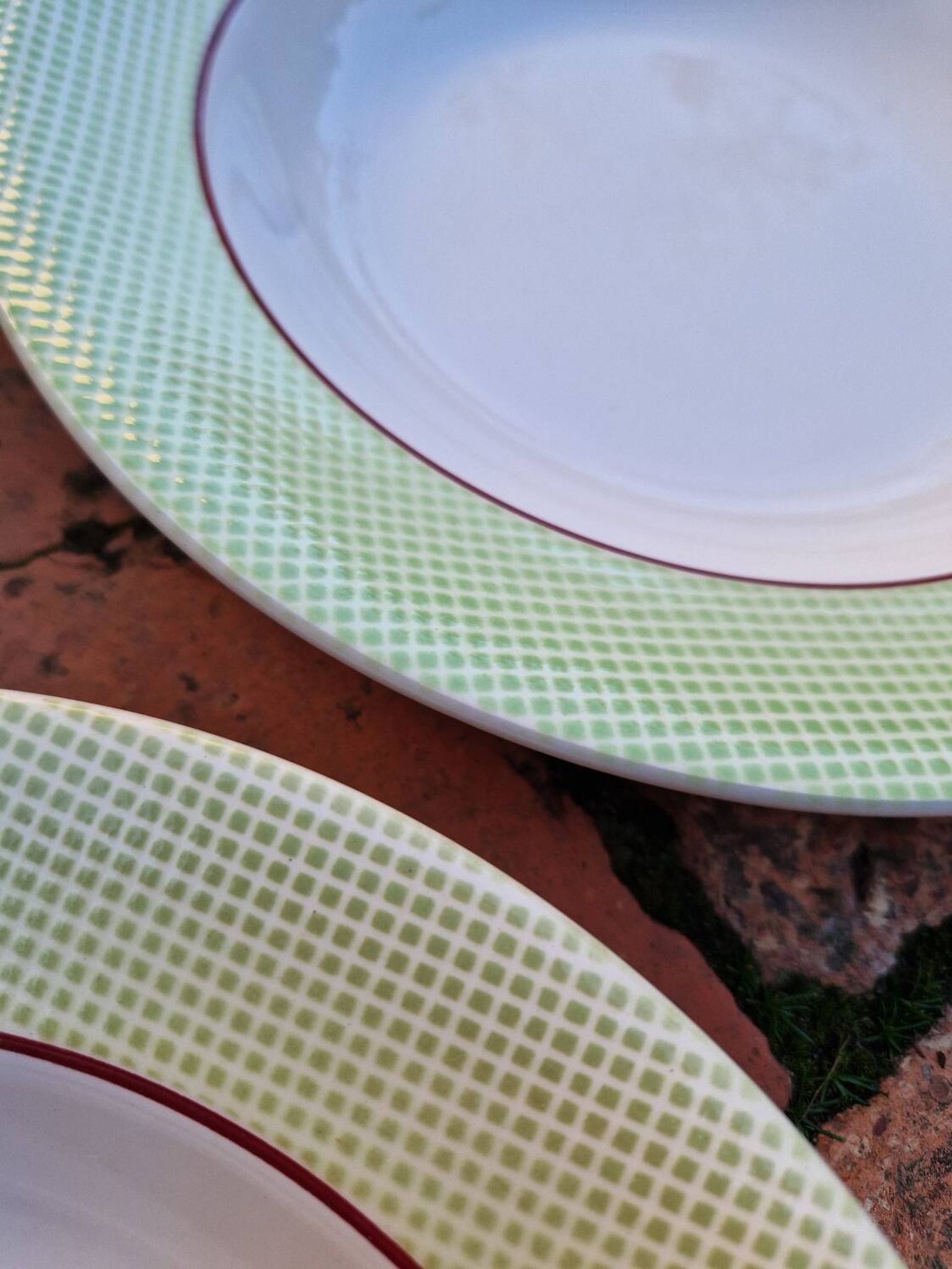 Set of 11 Isoard Pattern Soup Plates, Salins Manufacture