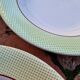 Set of 11 Isoard Pattern Soup Plates, Salins Manufacture
