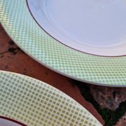 Set of 11 Isoard Pattern Soup Plates, Salins Manufacture