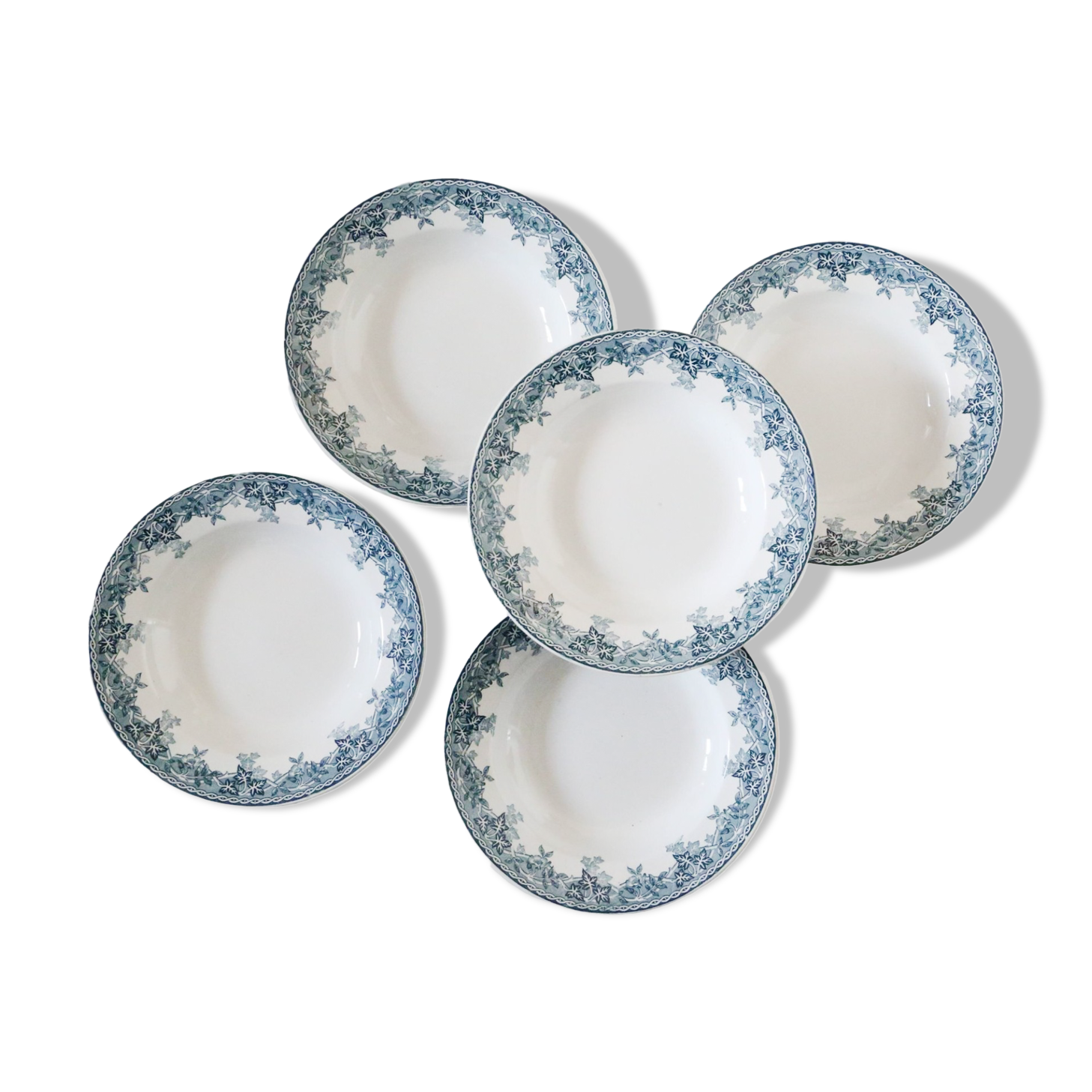 Deep plates x5, iron earth, Estival model from Saint Amand