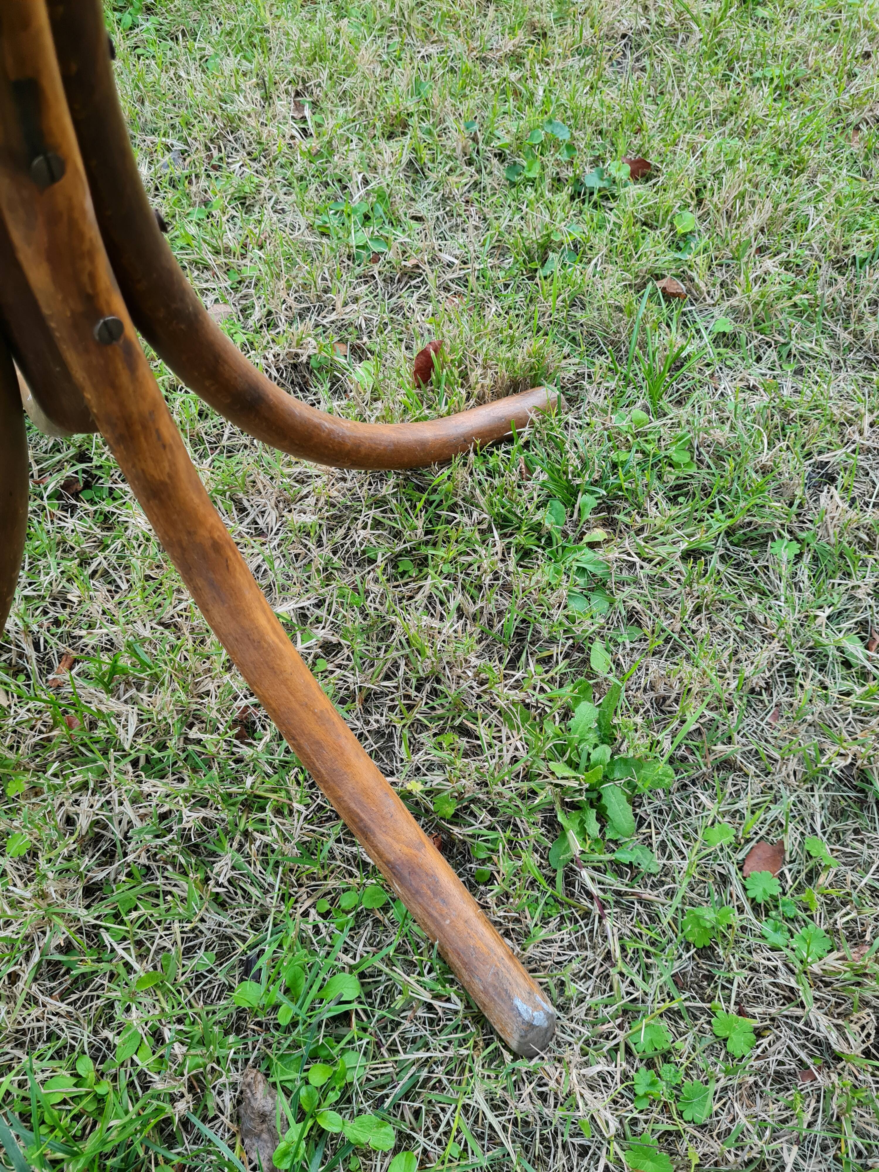 Vintage parrot coat rack