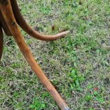 Vintage parrot coat rack