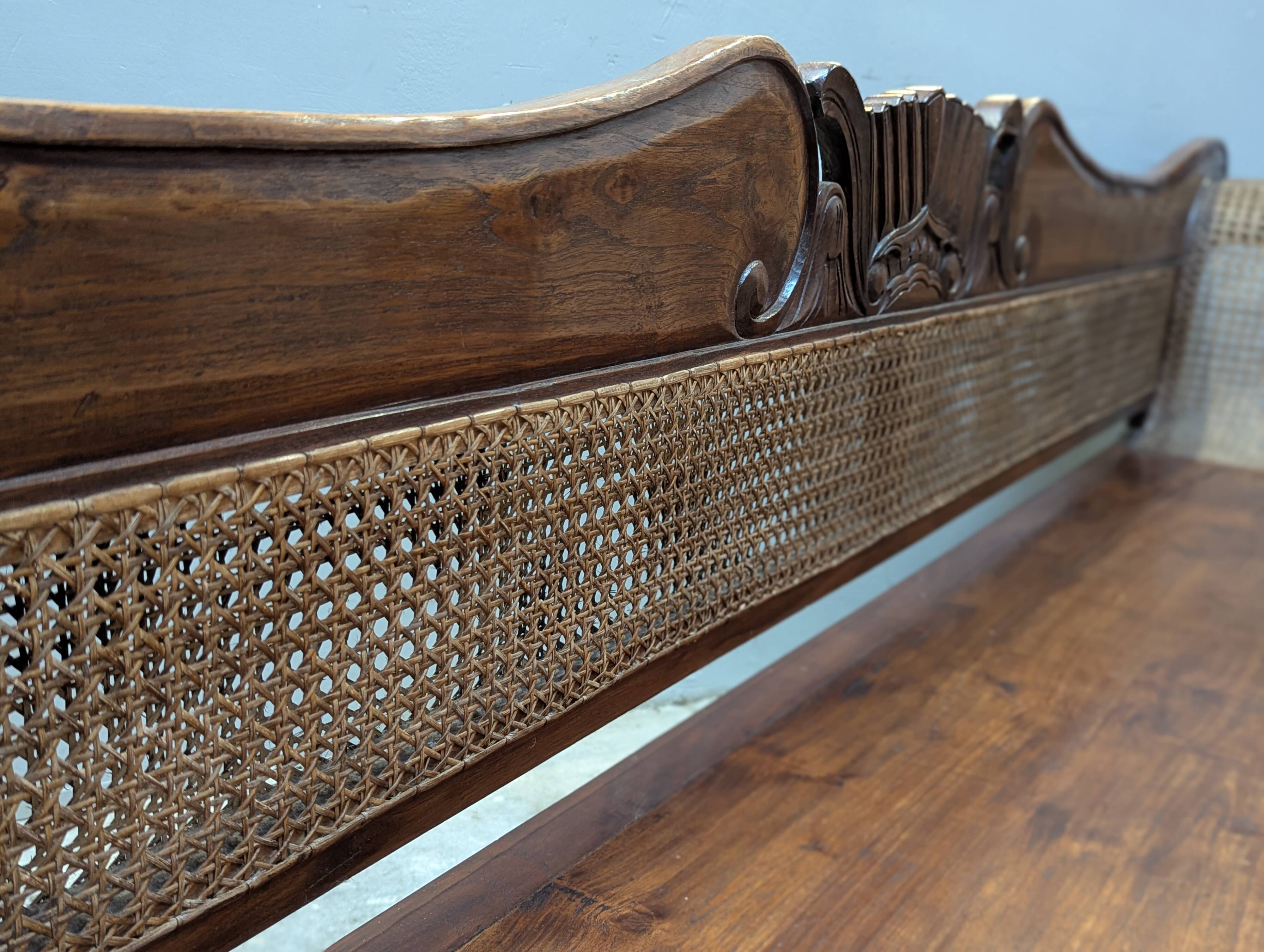 Very large colonial bans