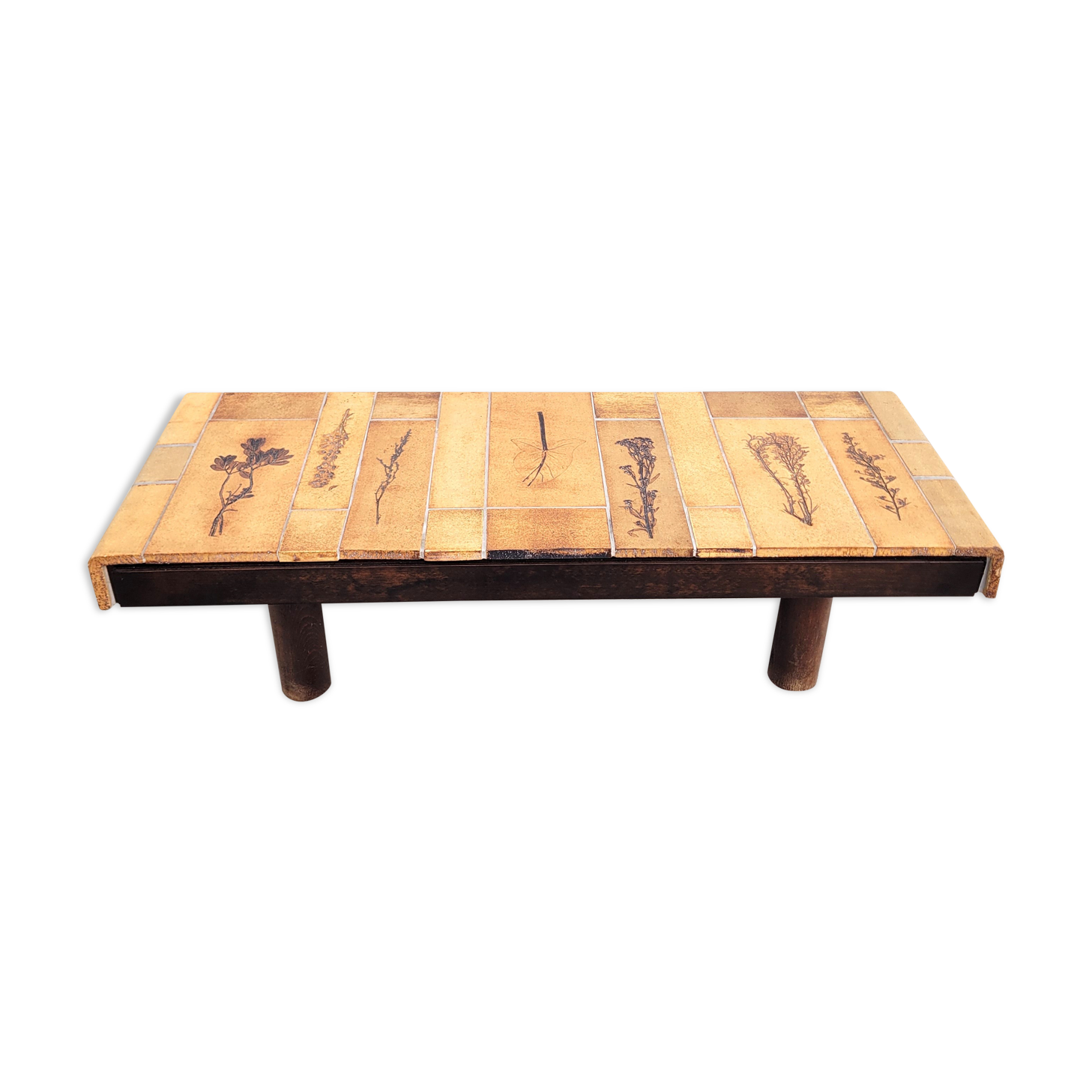 Coffee table Roger Capron Herbarium 1960