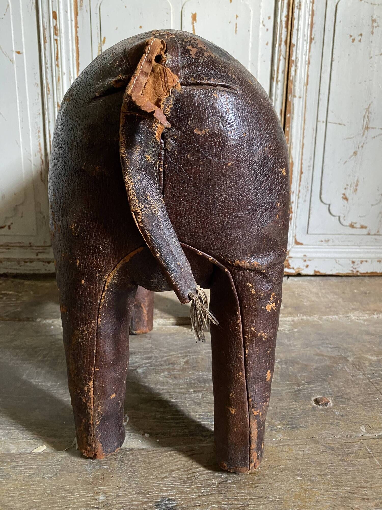 Elephant Dimitri Omersa