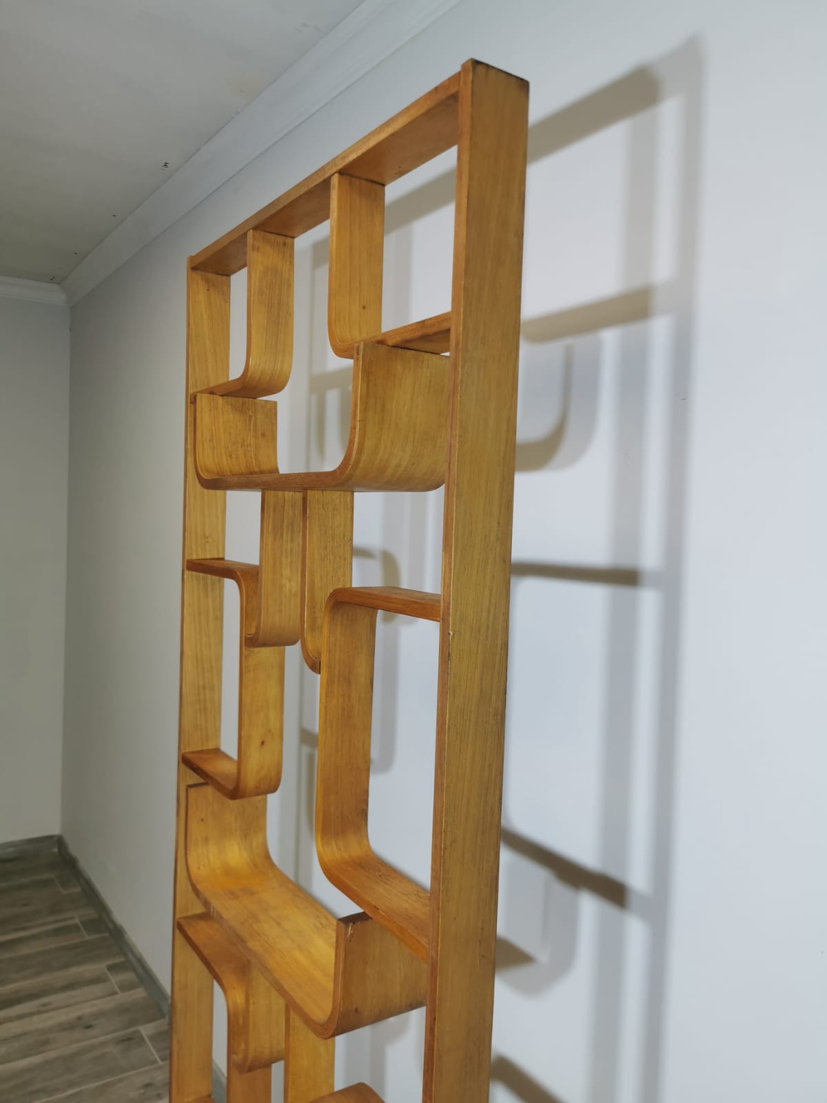 Room Divider by Ludvik Volak for Drevopodnik Holesov