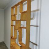 Room Divider by Ludvik Volak for Drevopodnik Holesov
