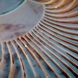 Empty pocket shell pottery sars