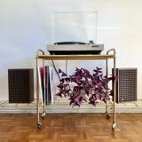 Scalable gold brass vinyl holder