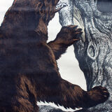 Affiche "Ours brun"  lithographie par J. F. Schreiber 1893