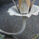 Large painted metal wall lamp with two arms vine/grape decoration