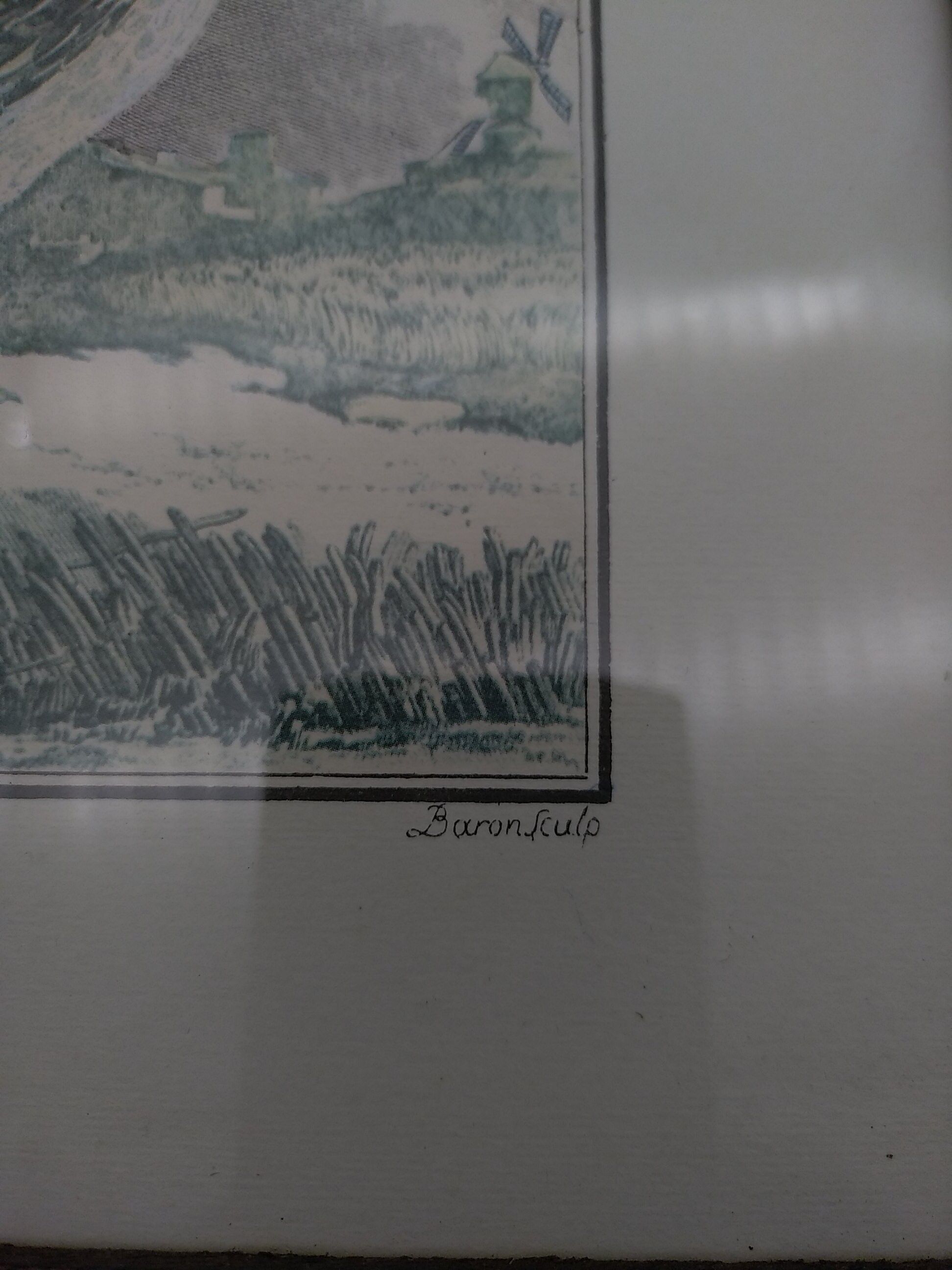 2 planches encadrés, la caille et le jabiru, buffon