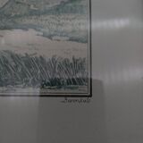 2 framed plates, quail and jabiru, buffon