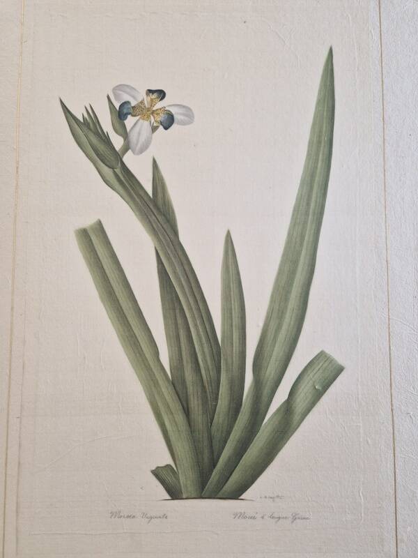La Roche Laffitte (Born in 1943) - Watercolour drawing on silk - Morée