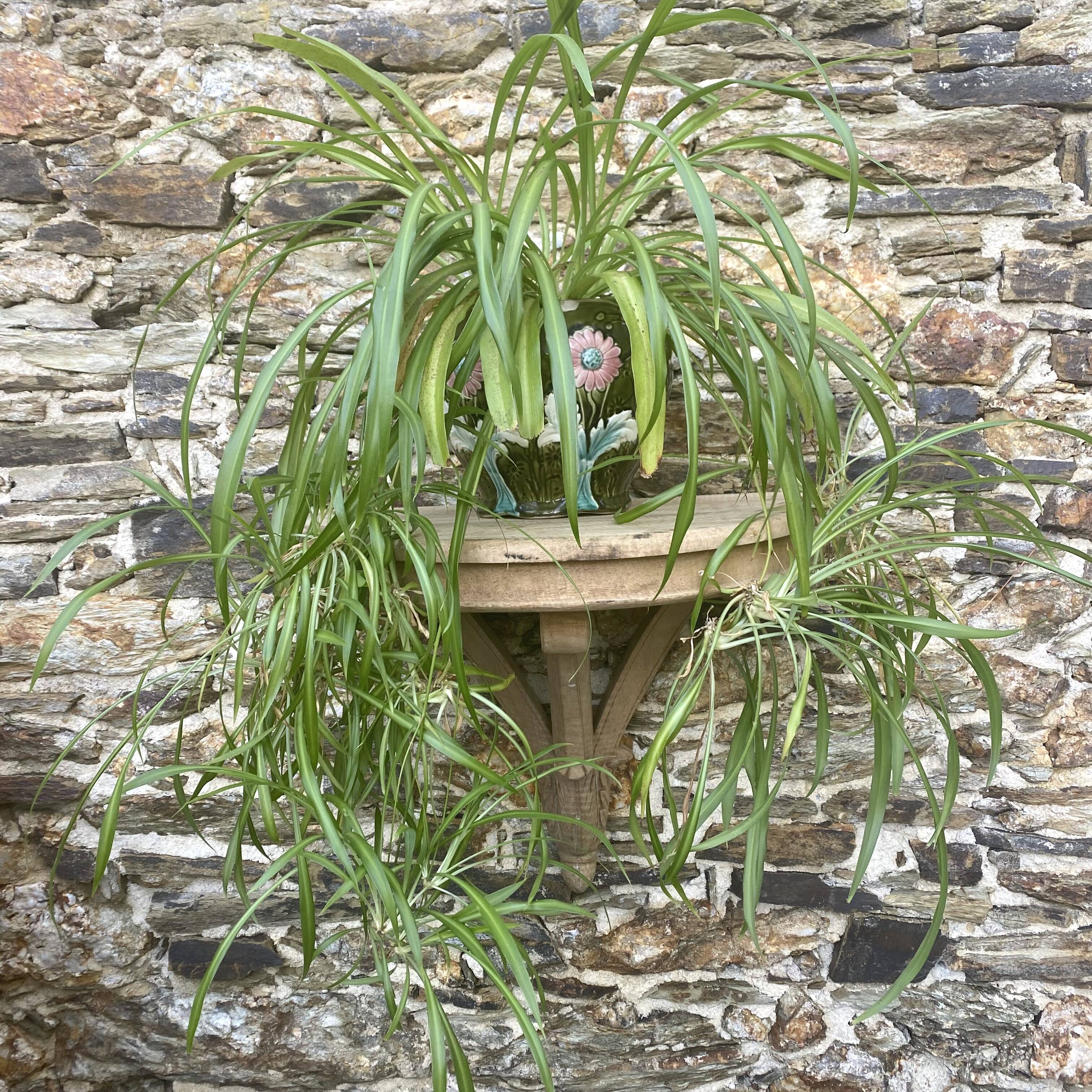 carved wooden wall shelf or wall console