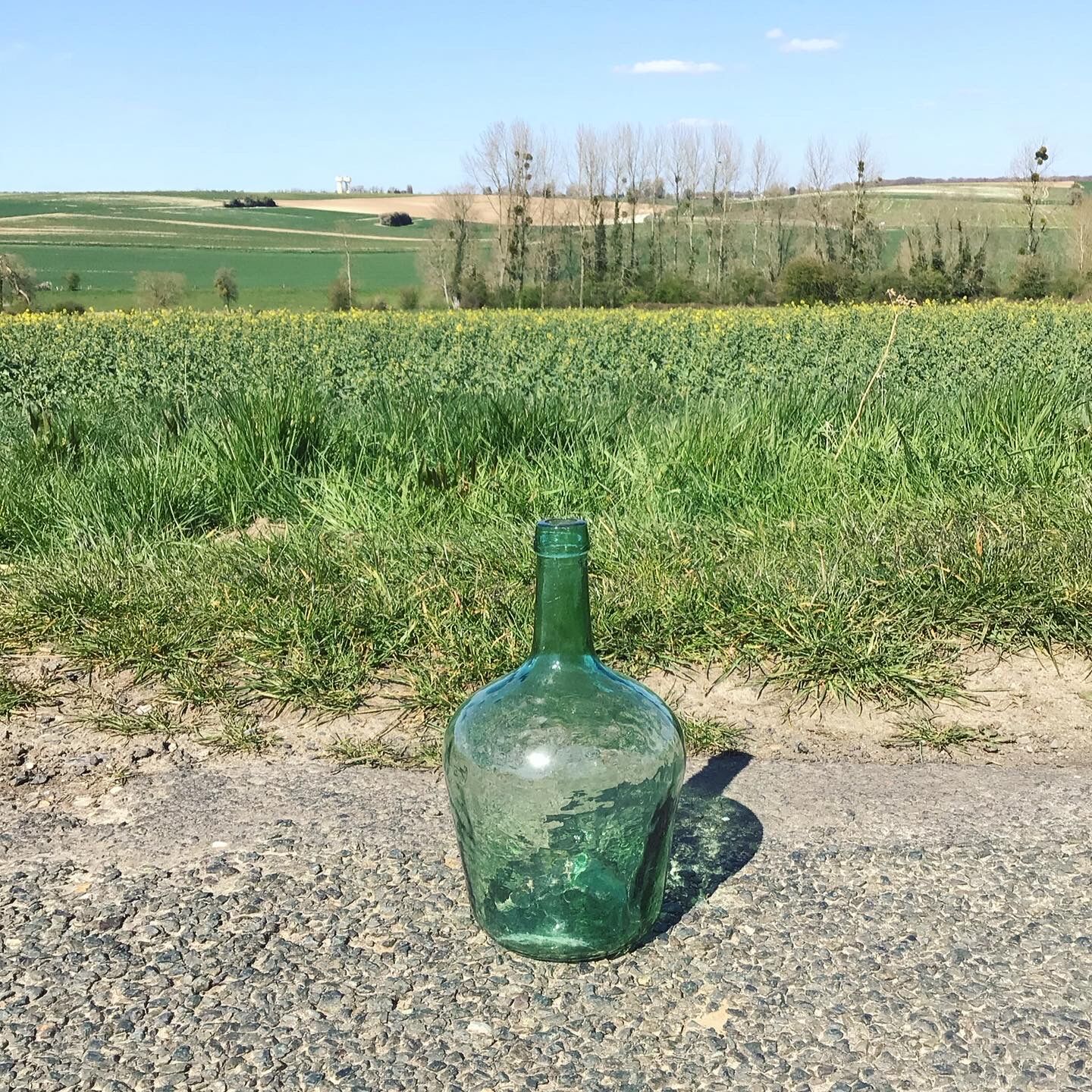 Dame jeanne Viresa 2 litres verte