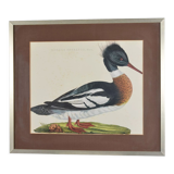 Animal lithography