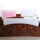 Letter holder thuja magnifying glass