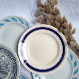 Blue vintage dinner plates